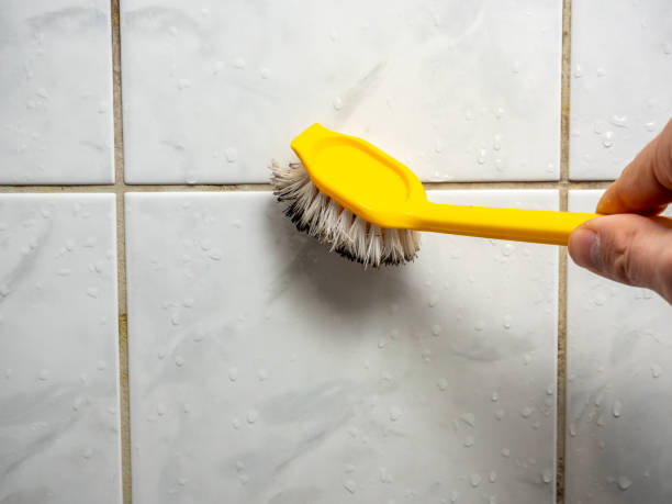  Columbus, KS Mold Removal Pros