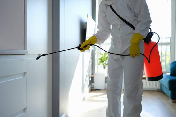 Mold Removal and Inspection in Columbus, KS