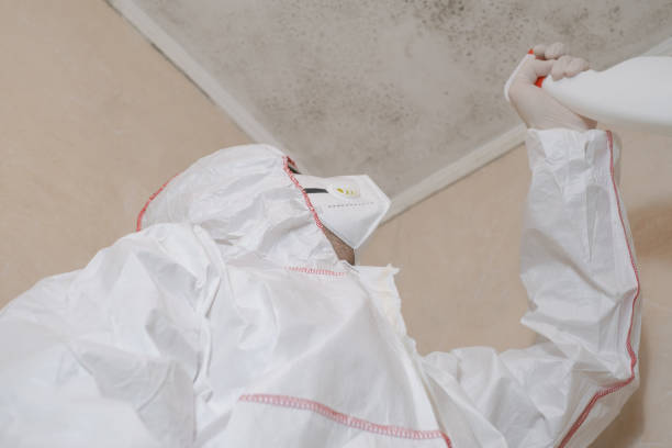 Best Commercial Mold Removal  in Columbus, KS