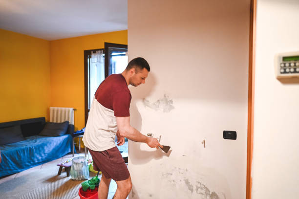 Reliable Columbus, KS Mold Removal Solutions