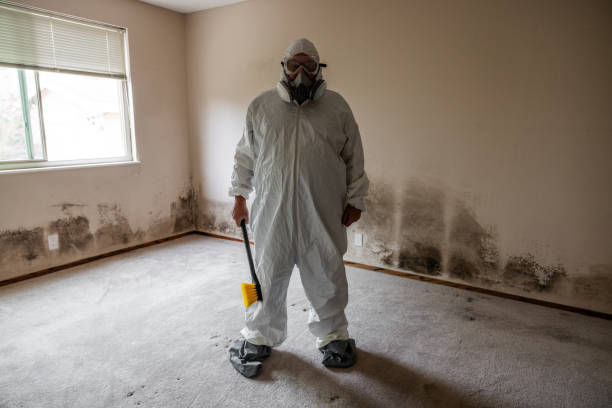 Best Mold Testing  in Columbus, KS
